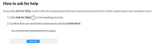 How to ask for help in Zoom